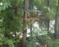 野鳥の餌台作ってみました。 2007/06/10 17:15:18