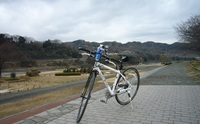 朝のお散歩 2008/02/09 10:22:03