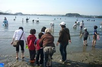 潮干狩り 2008/05/02 17:28:26