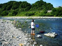 ガサガサ 2008/06/01 17:18:55