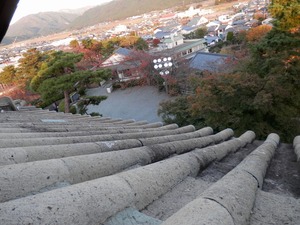 天守に使われている瓦