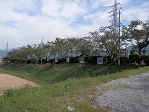 姉川古戦場