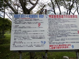 場内の管理釣り場