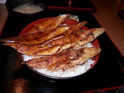 とれとれ市場の焼きアナゴ丼