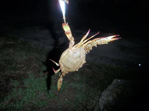 盆休み