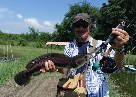 ゆるゆる北国ぐらし タイの釣り堀