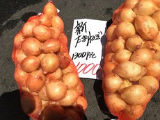 週末の出来事♪