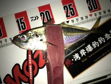 週末の出来事♪