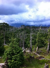 天上お花見キャンプ ～弥山、八経ヶ岳 トレッキング～